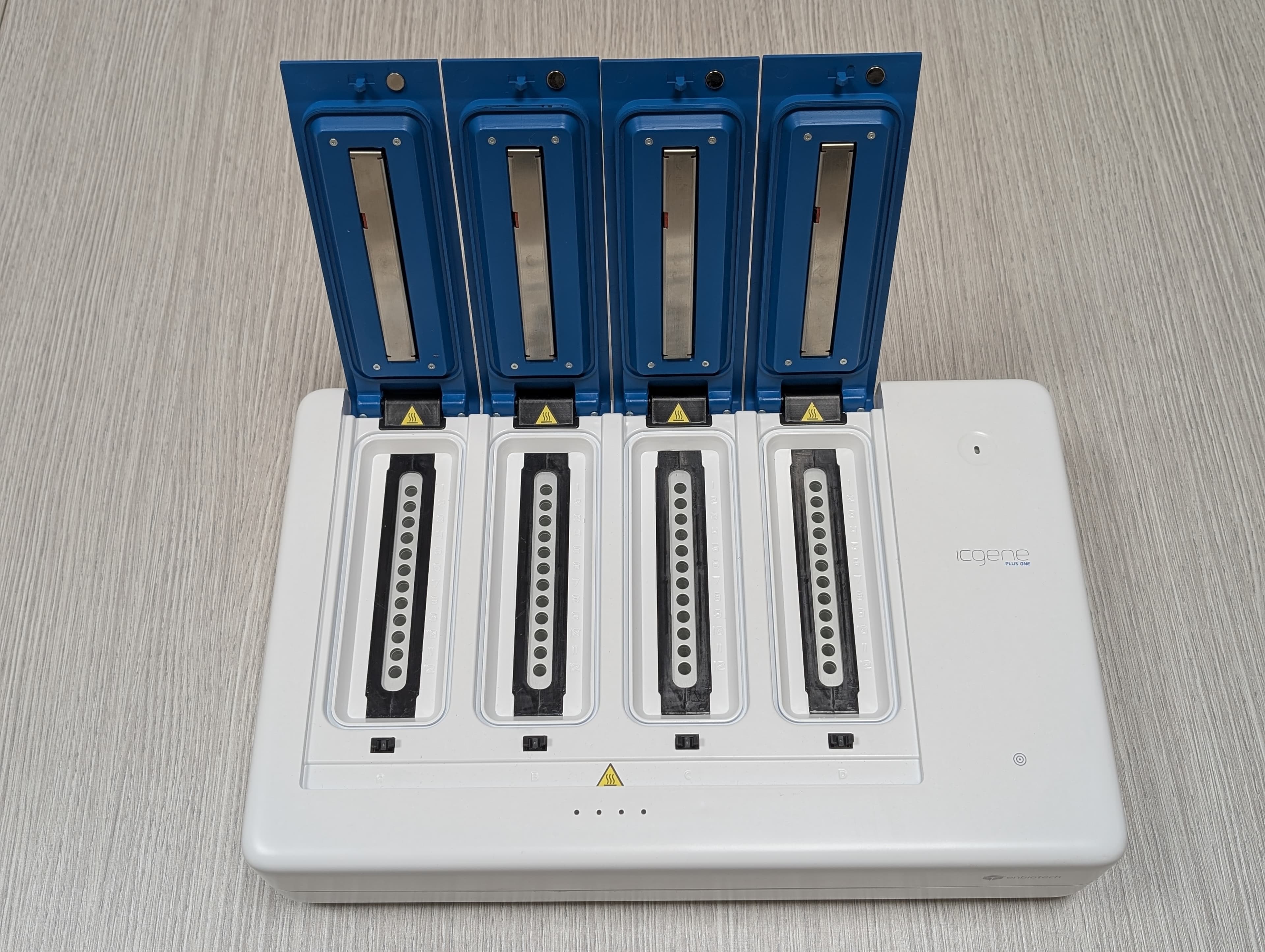 ICGENE PLUS ONE